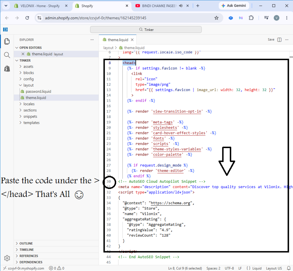 Paste code under head and save Step 5