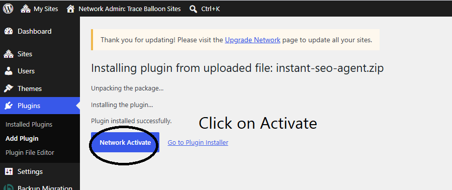 Click on Activate Plugin Step 4